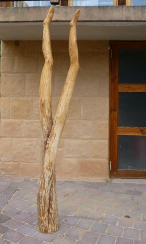 Beine aus Eberesche
Die Skulptur entstand aus einer Eberesche, die ihre Beine zum Himmel streckt.